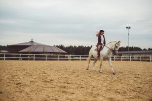 Jak ujeżdżalnie dla koni mogą przyczynić się do efektywnego treningu?