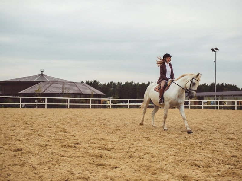 Jak ujeżdżalnie dla koni mogą przyczynić się do efektywnego treningu?